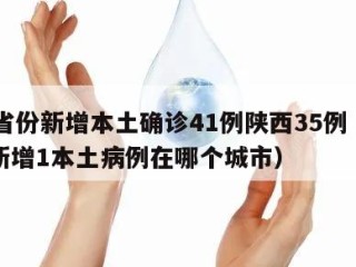 31省份新增本土确诊41例陕西35例（陕西新增1本土病例在哪个城市）