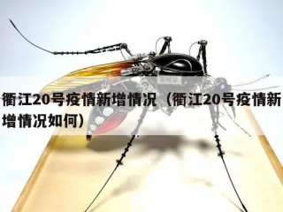 衢江20号疫情新增情况（衢江20号疫情新增情况如何）